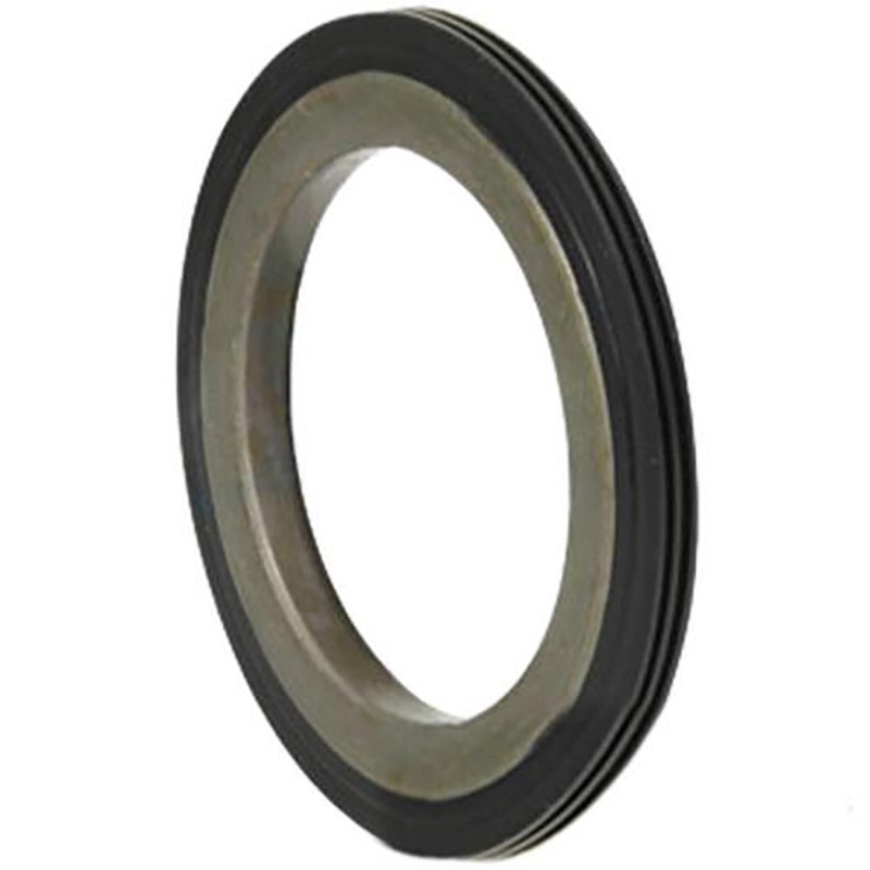 A-370254R1-AI SEAL (LIP TYPE)