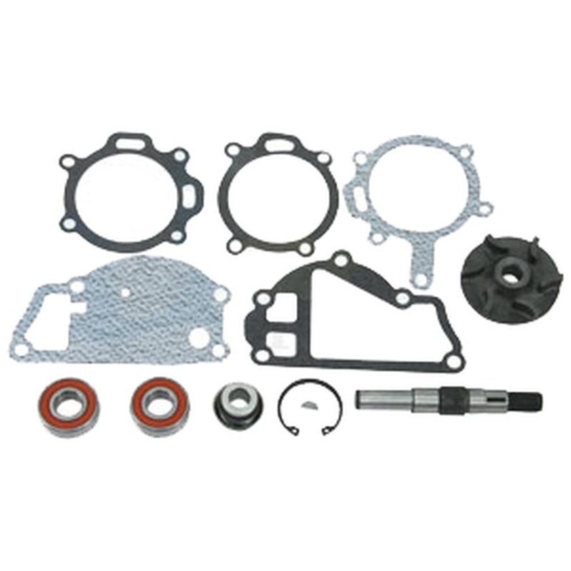 A-3118126R91-AI Repair Kit, Water Pump