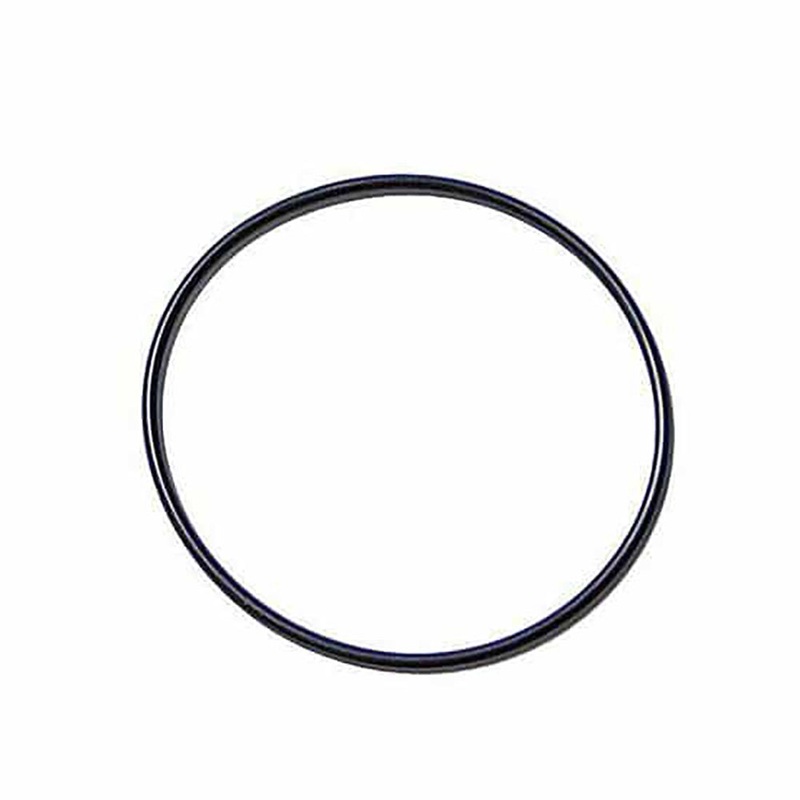 A-3902089-AI O-Ring, Water Pump Sealing