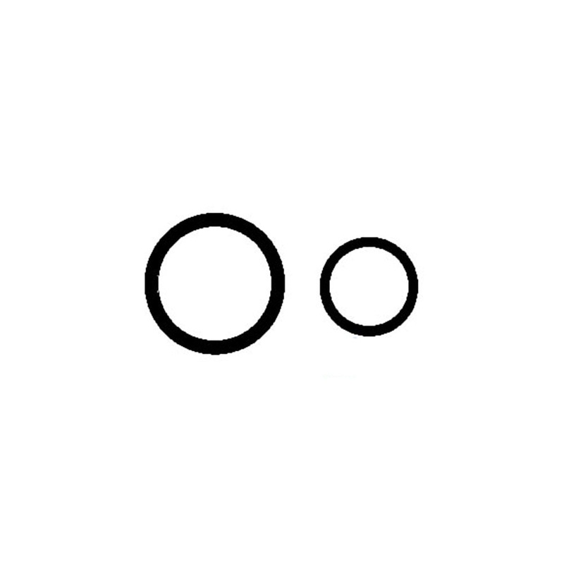 O-Rings 252483R1 Fits Case-IH MX100 MX110 MX120 MX135 MX80C MX90C 1066 1466 1468