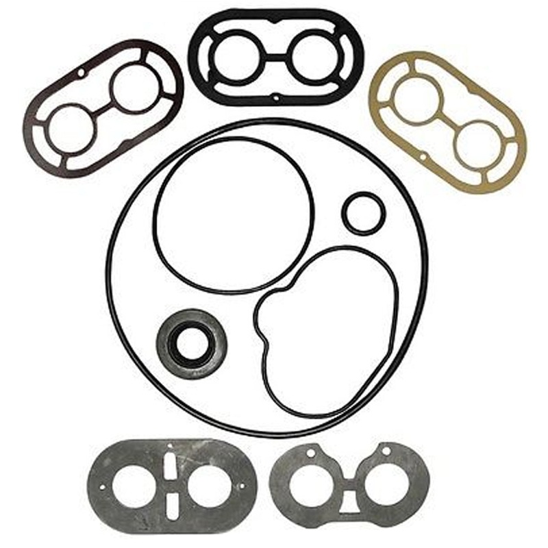 1201-1620 - Steering Pump Seal Kit Fits Massey Ferguson