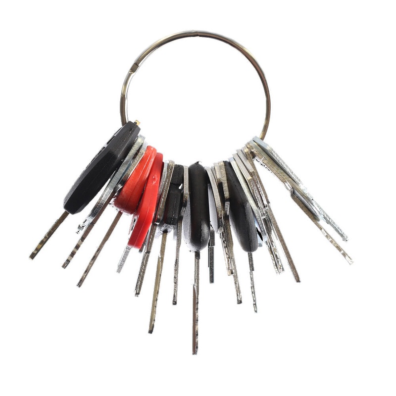 24 Heavy Construction Equipment Ignition Key Set Fits CAT Fits JD Fits Case